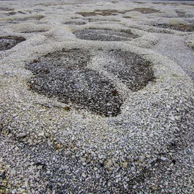 Patterned ground at Kapp Linne, Svalbard