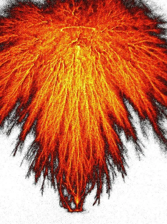 Positive discharge