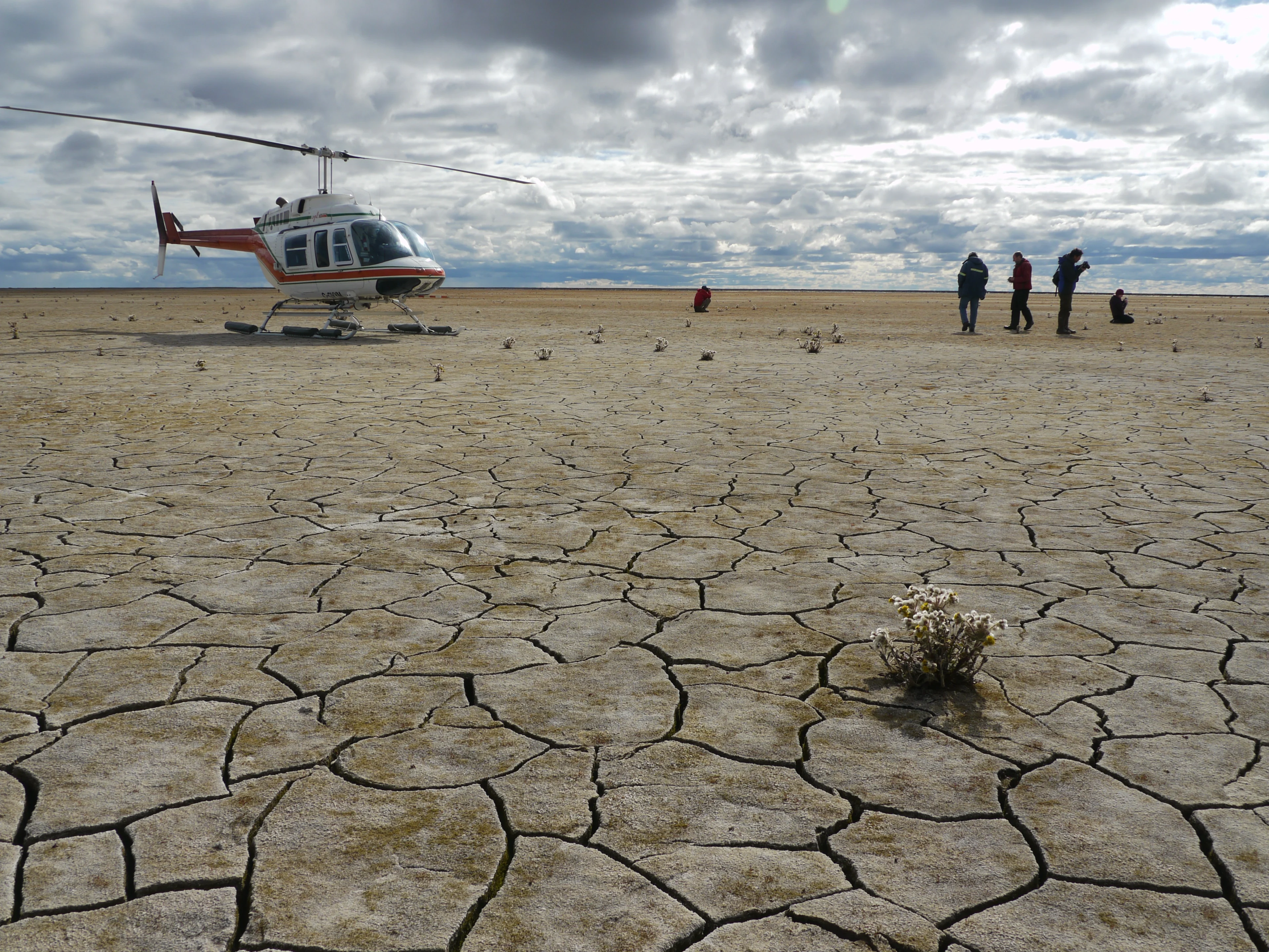The drying Arctic