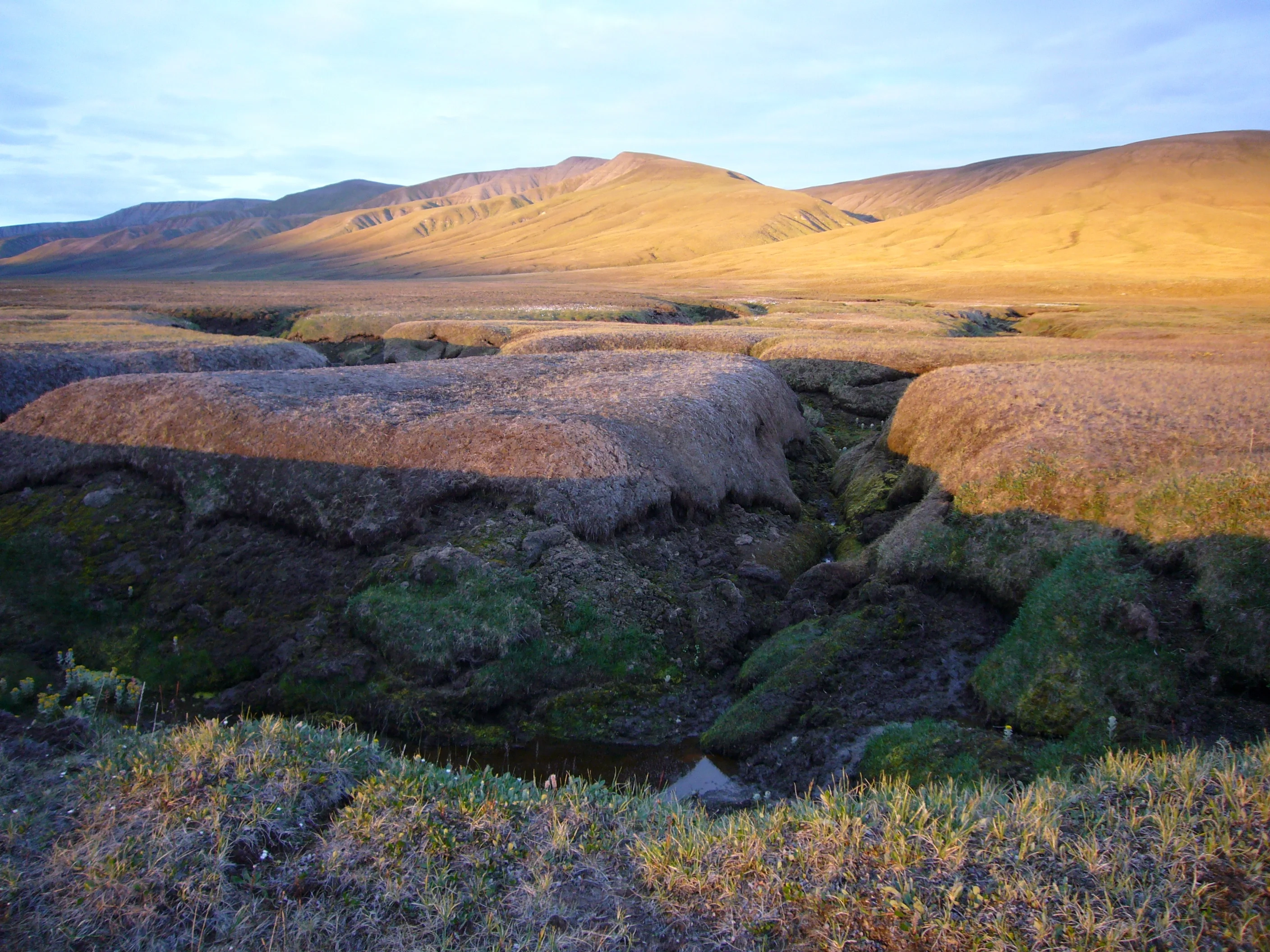 Permafrost landscape at sunset