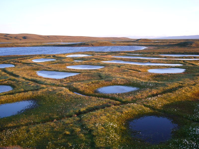 Polygon Ponds at sunset