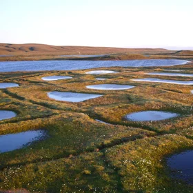 Polygon Ponds at sunset