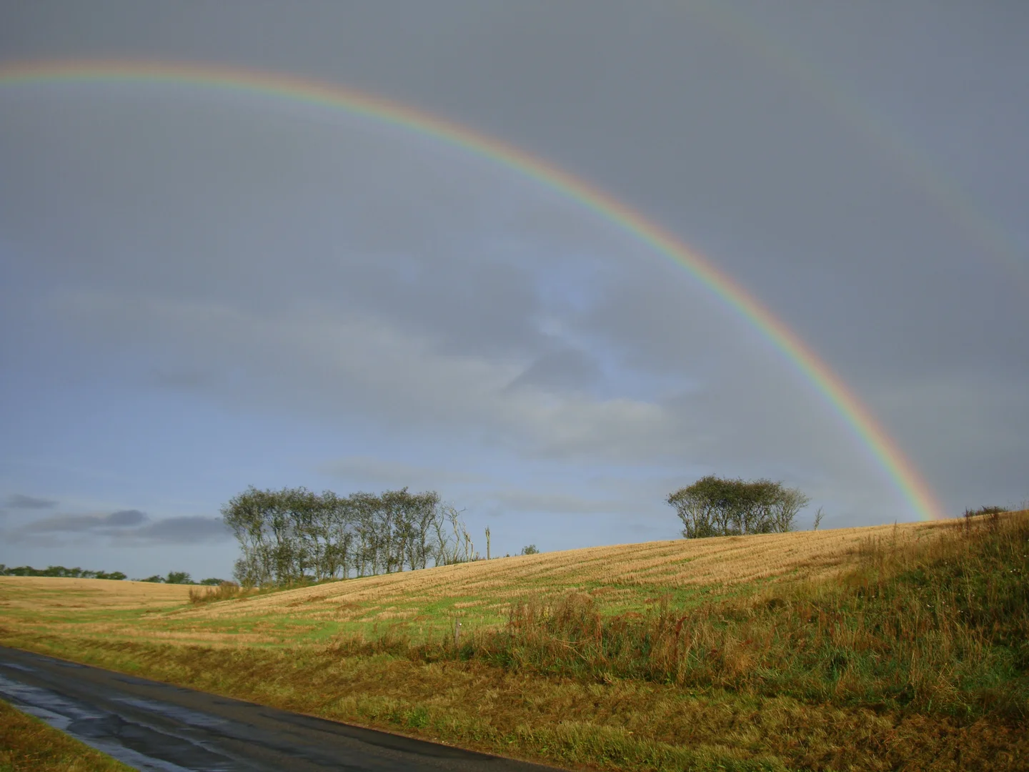 Rainbow