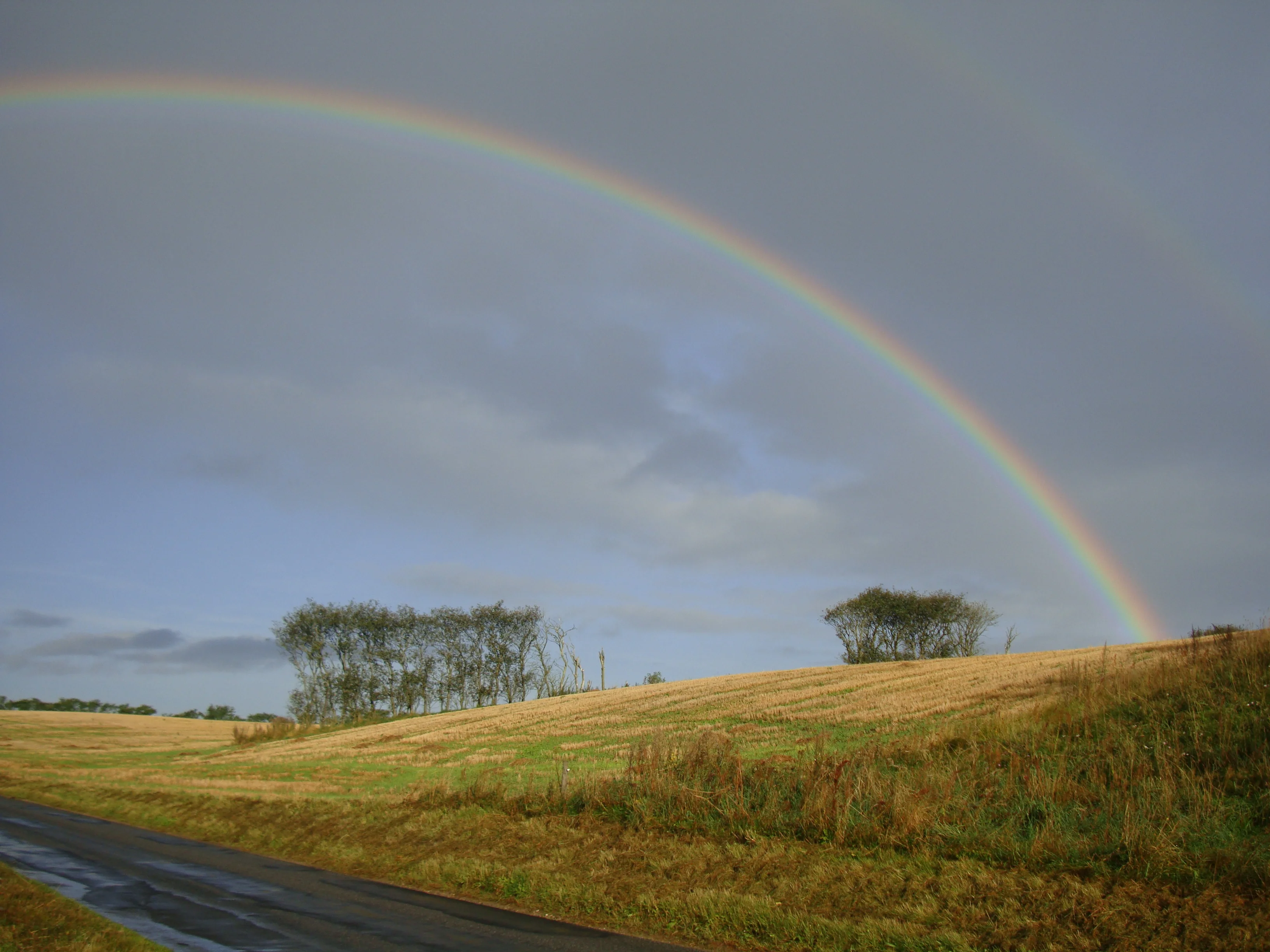 Rainbow