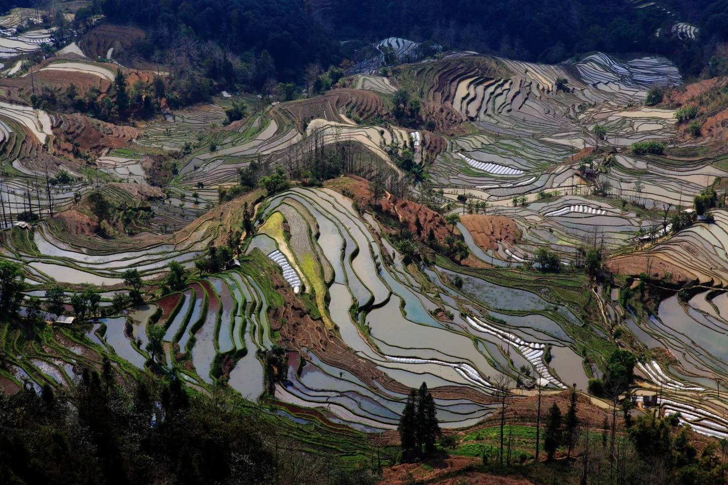 Terraces