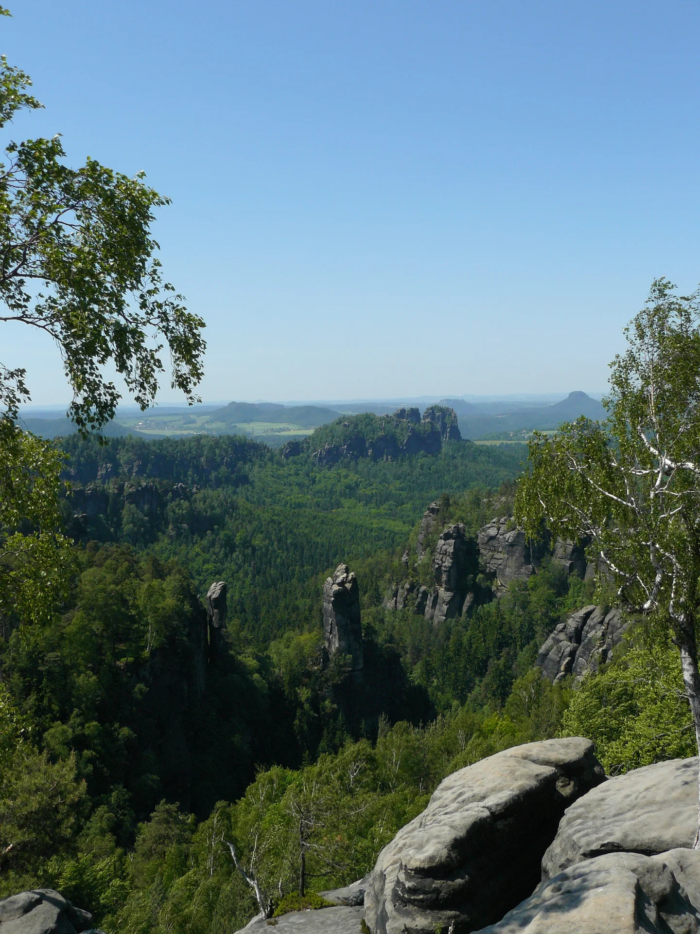 Sandstone cliff in Saxony Switzerland (East Germany)