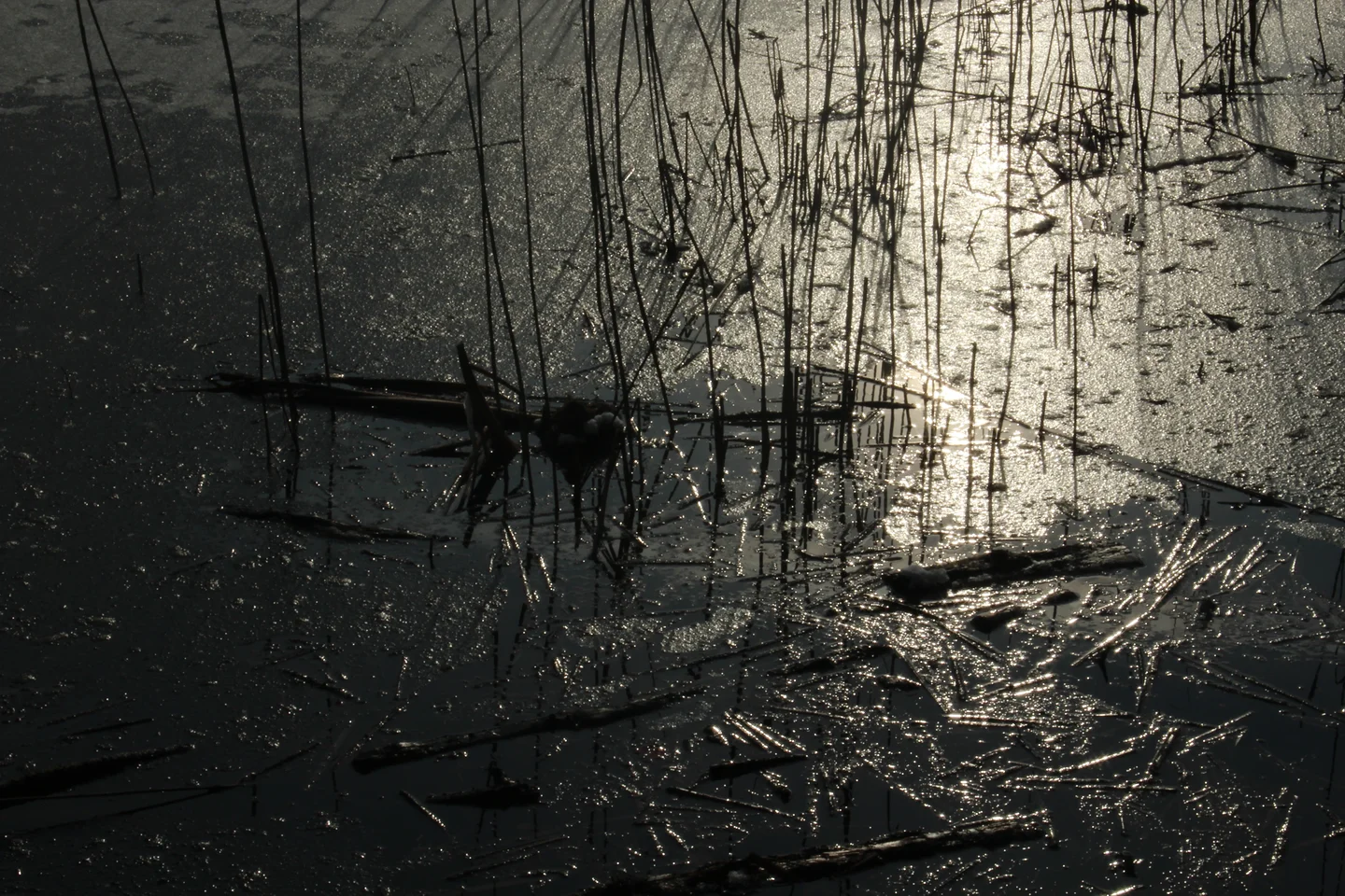 Ice light in a lake