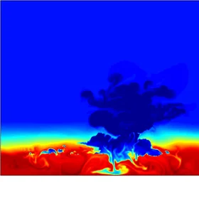 Aerosols distribution inside convective cloud