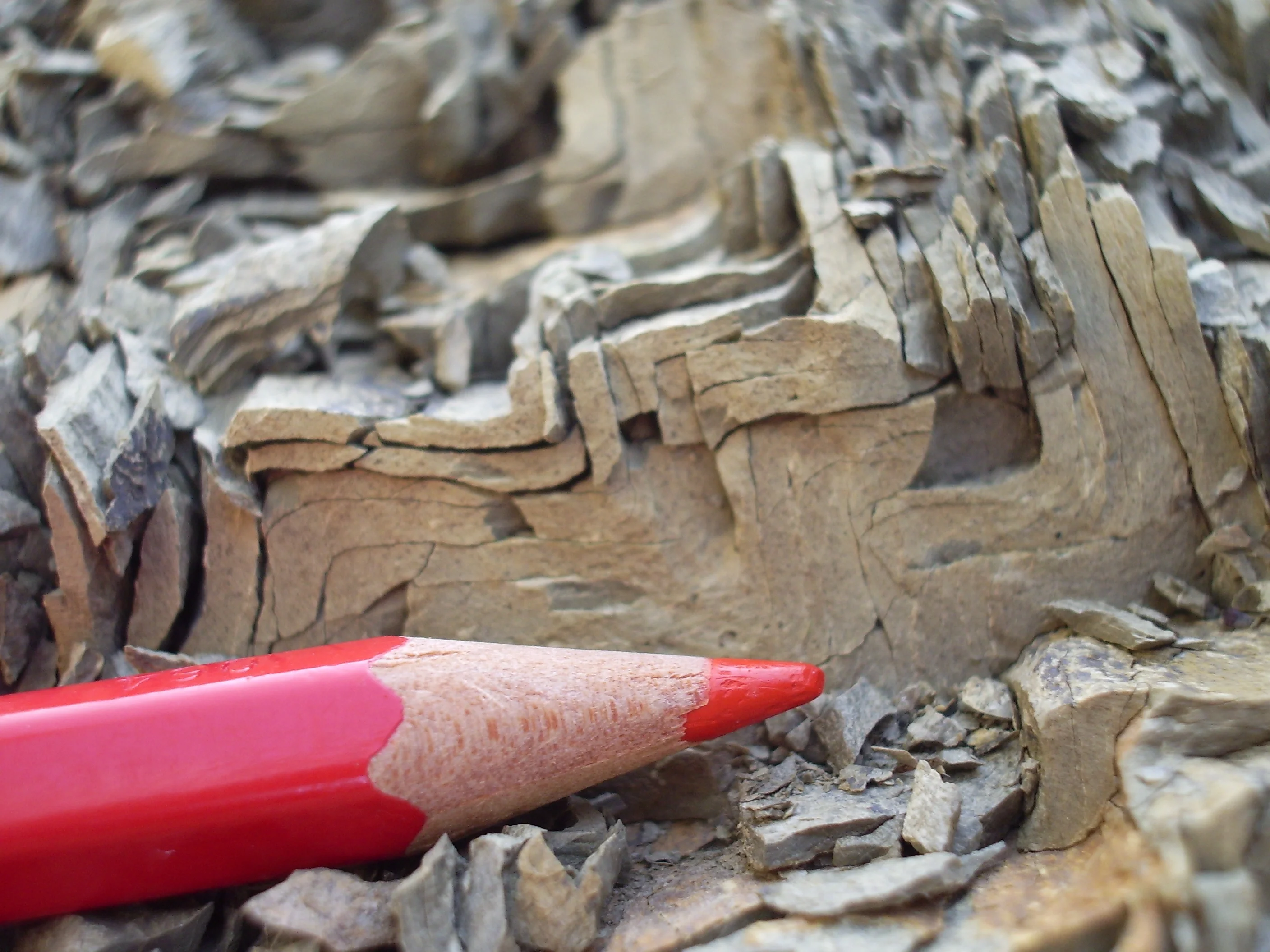 Folded clay rocks in Central italy