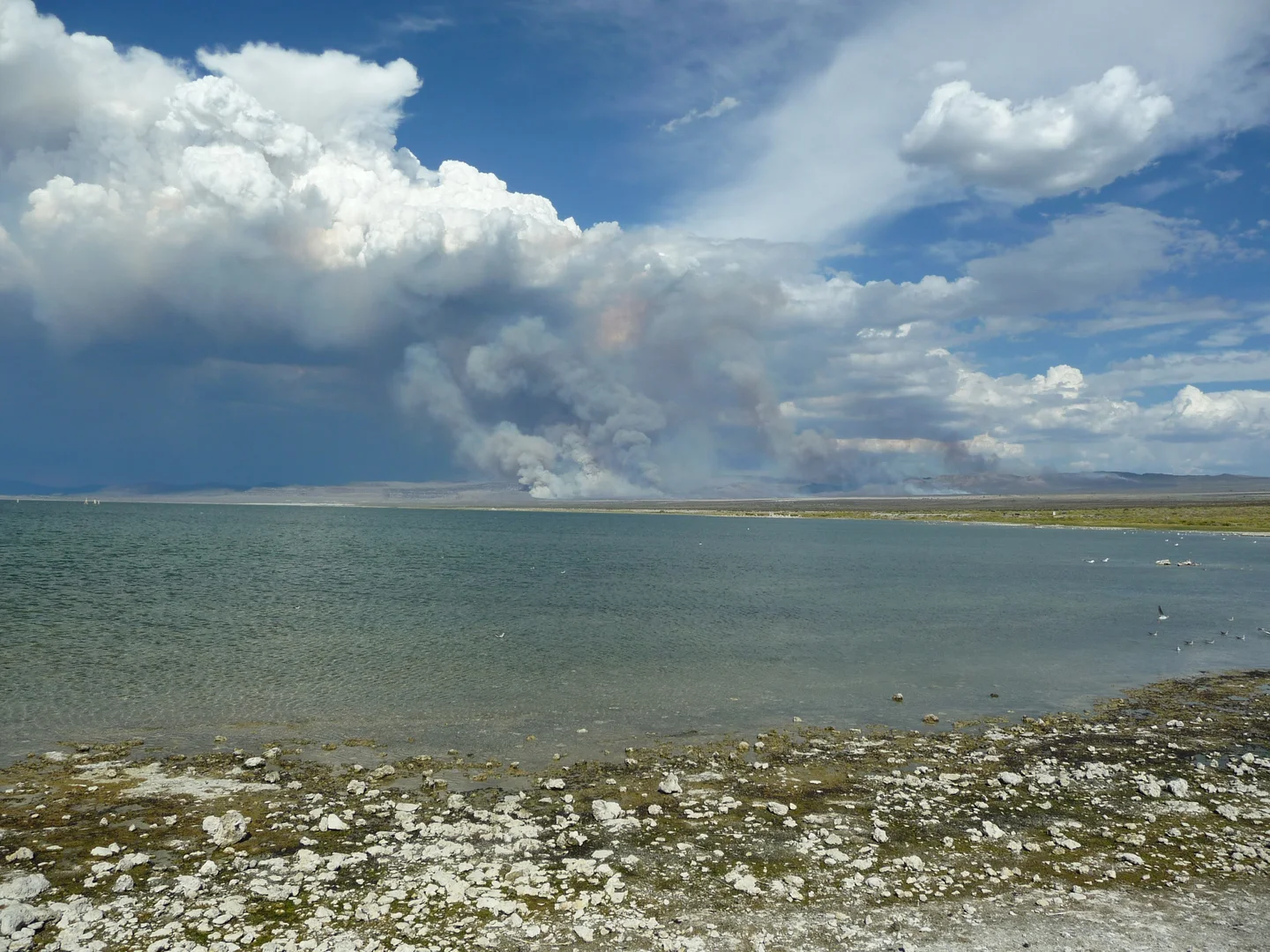 Desert fires feeding a convective cloud system over Mono Lake, California
