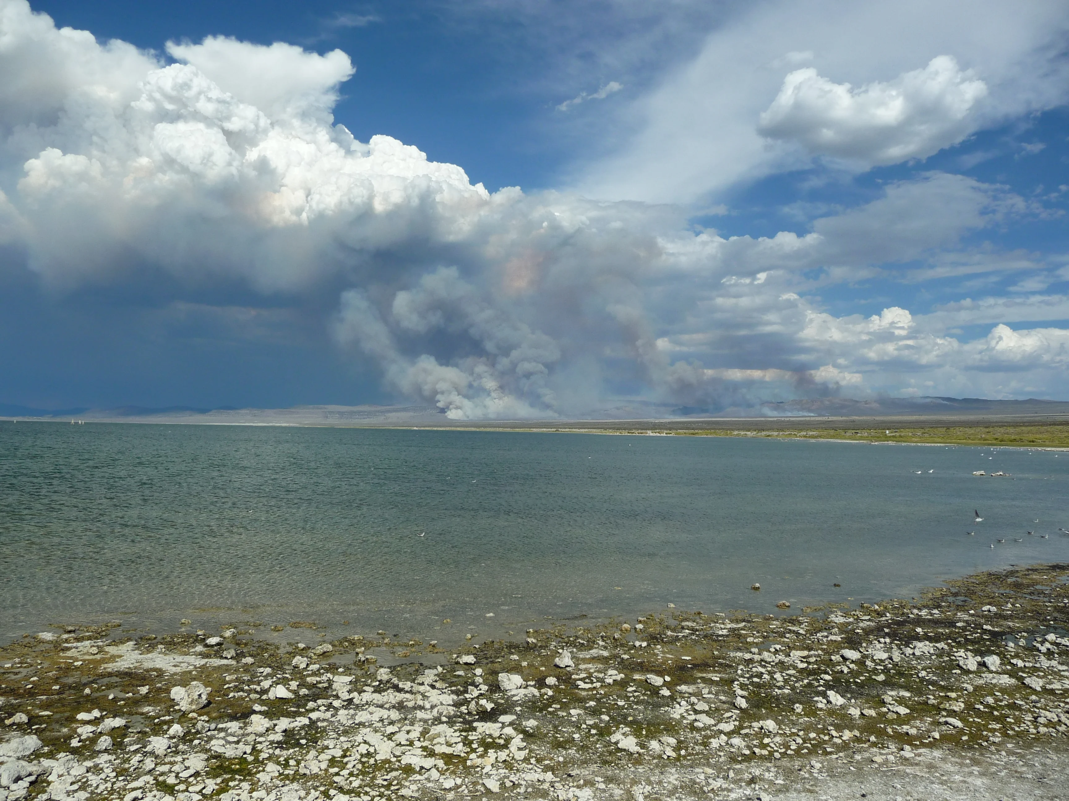 Desert fires feeding a convective cloud system over Mono Lake, California