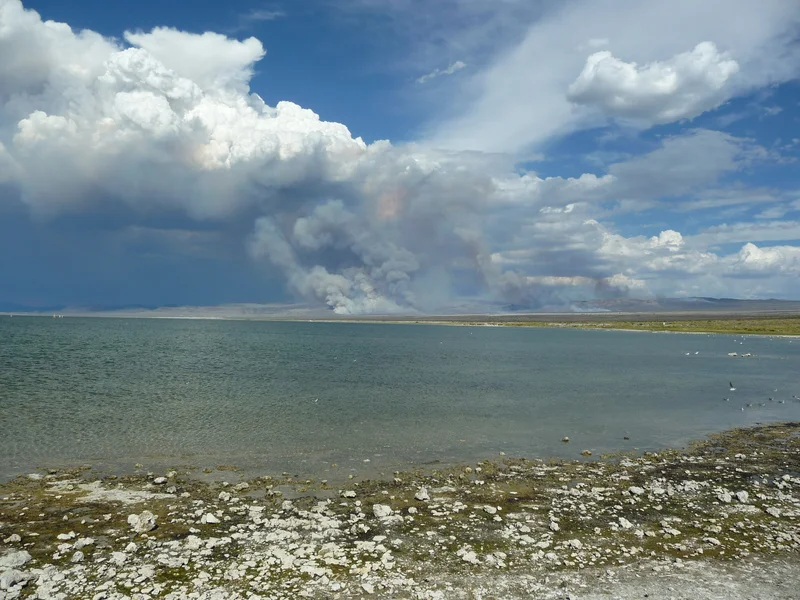 Desert fires feeding a convective cloud system over Mono Lake, California