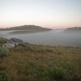 Morning Inversion