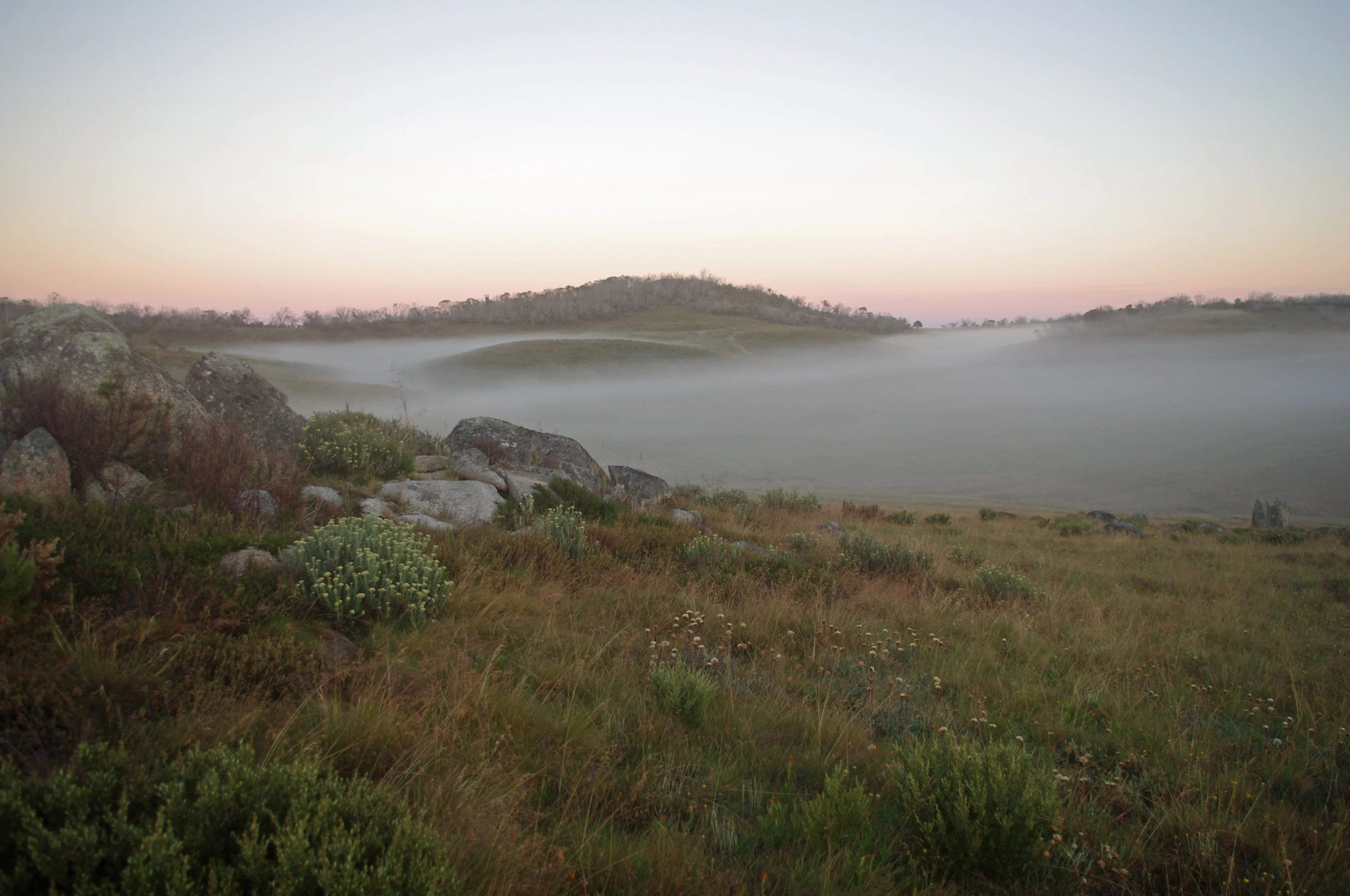 Morning Inversion