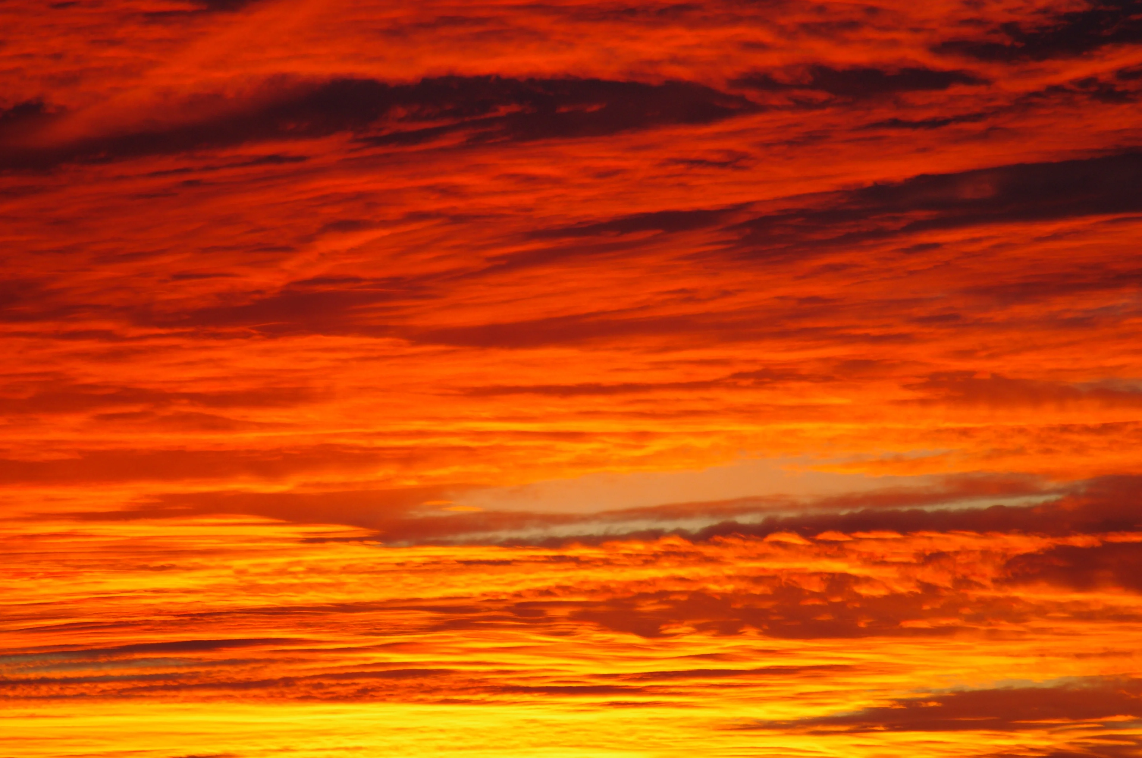 Evening Sky