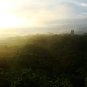 Early morning in Tikal, Guatemala