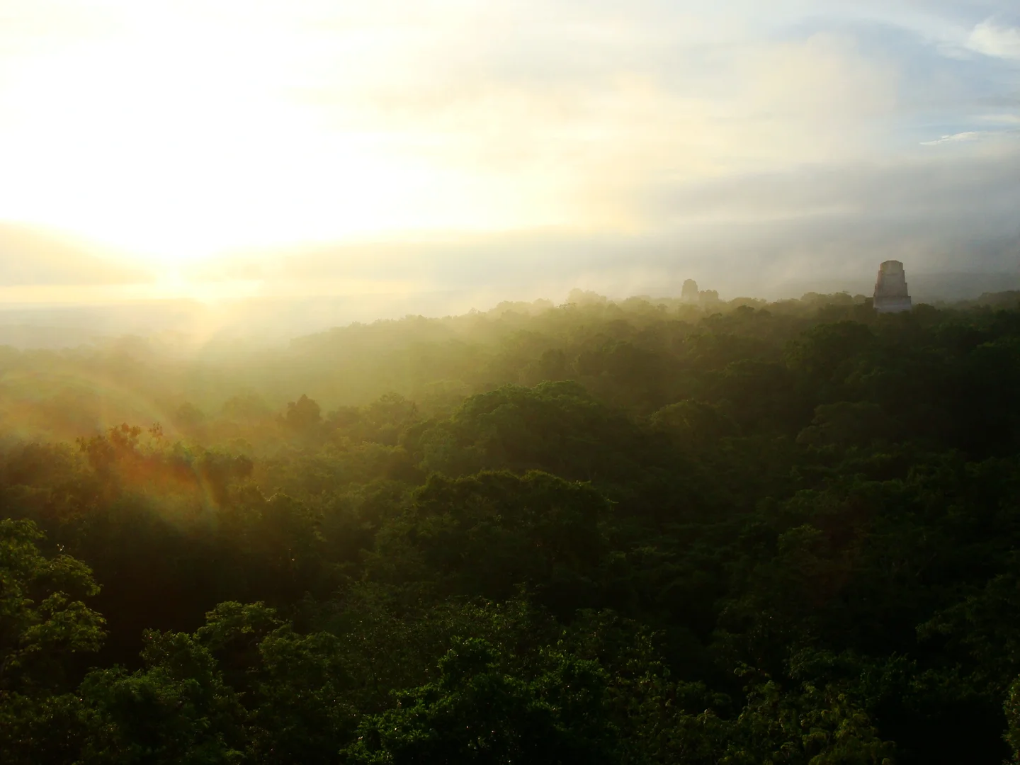 Early morning in Tikal, Guatemala