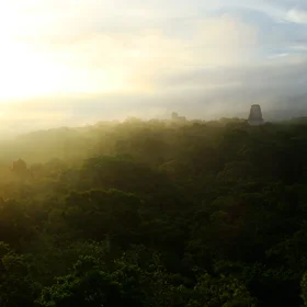 Early morning in Tikal, Guatemala