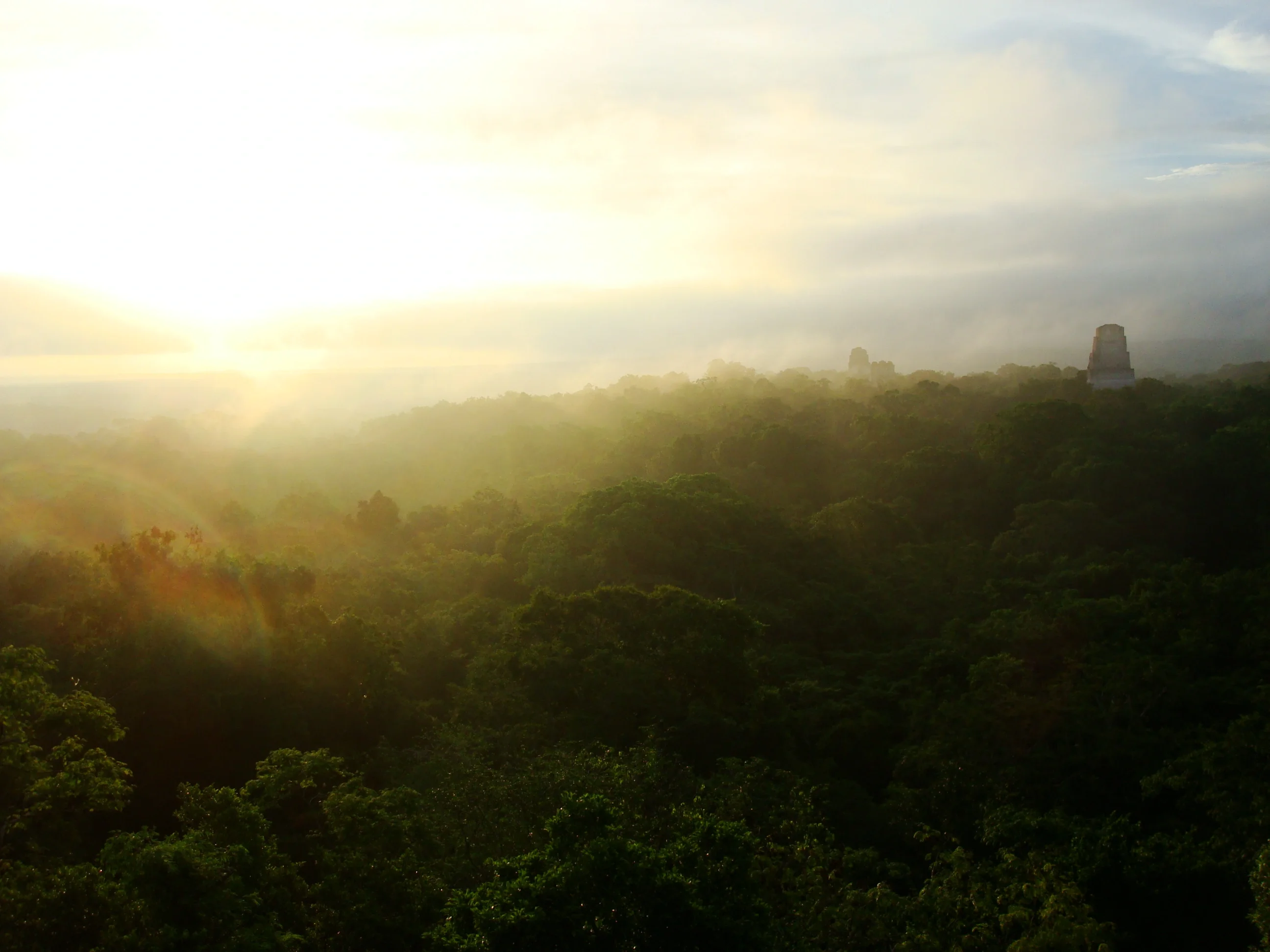 Early morning in Tikal, Guatemala