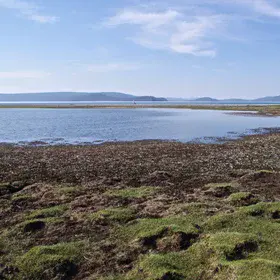 Frost hummocks at Lake Khovsgol, Mongolia