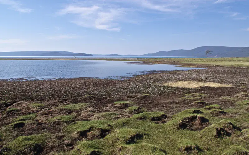 Frost hummocks at Lake Khovsgol, Mongolia