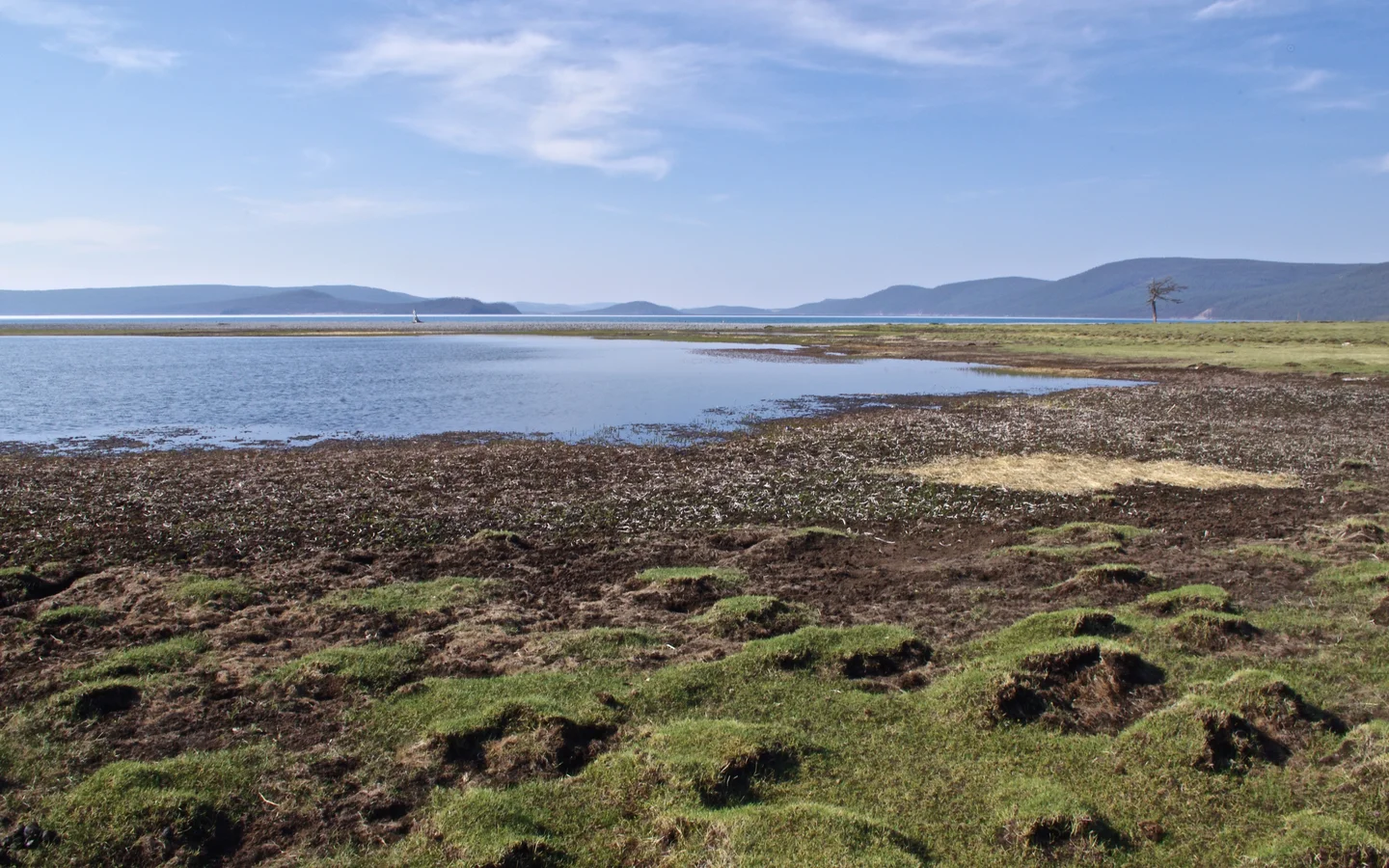 Frost hummocks at Lake Khovsgol, Mongolia