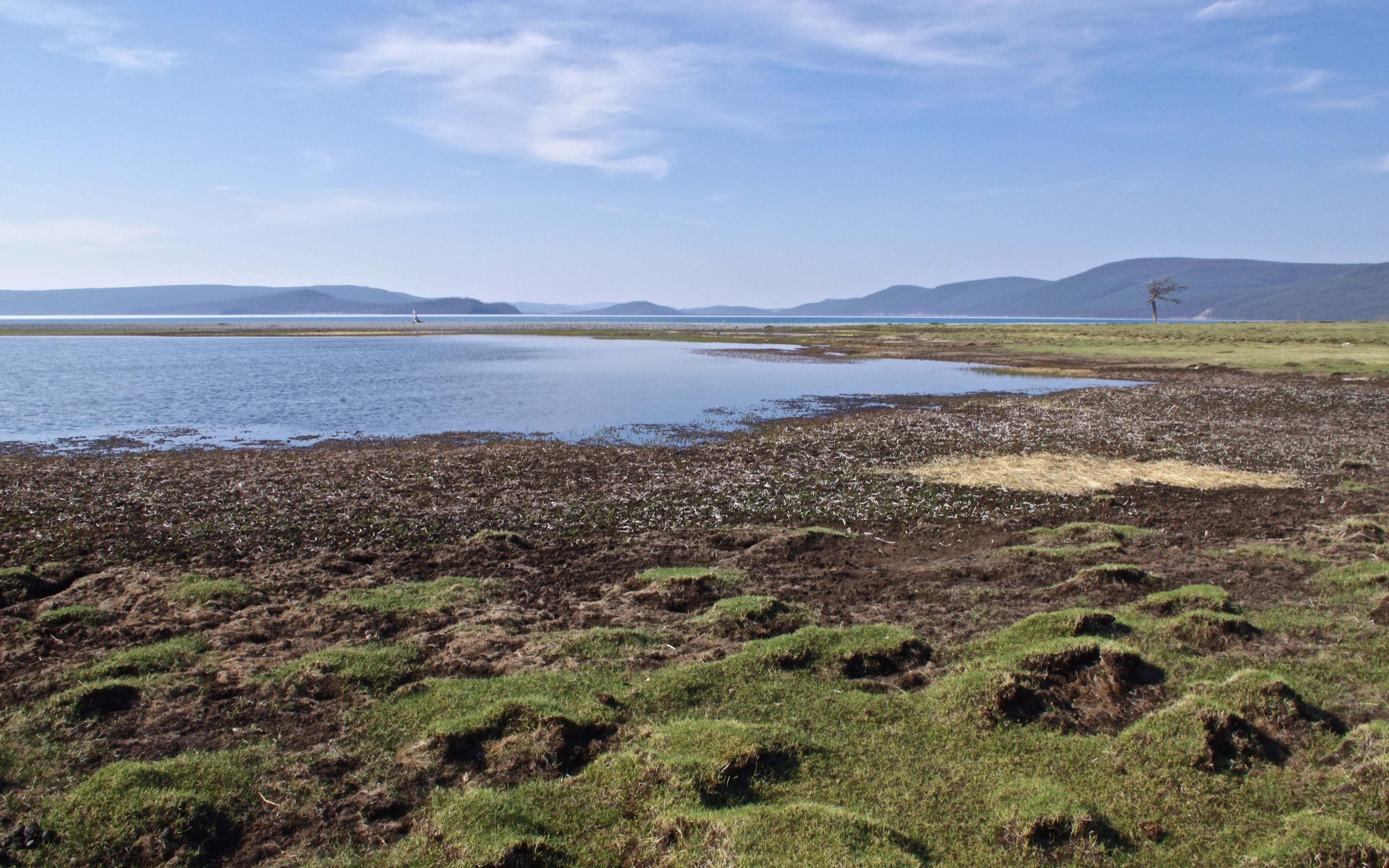 Frost hummocks at Lake Khovsgol, Mongolia