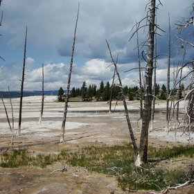 Fire casualties, Yellowstone National Park
