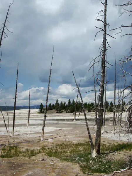 Fire casualties, Yellowstone National Park