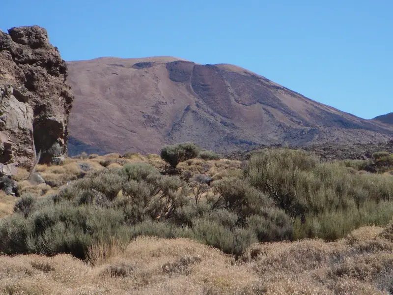 Solidified Lava Flow, Mt. Teide