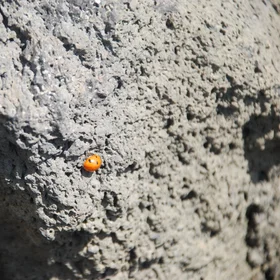 Lucky Rock