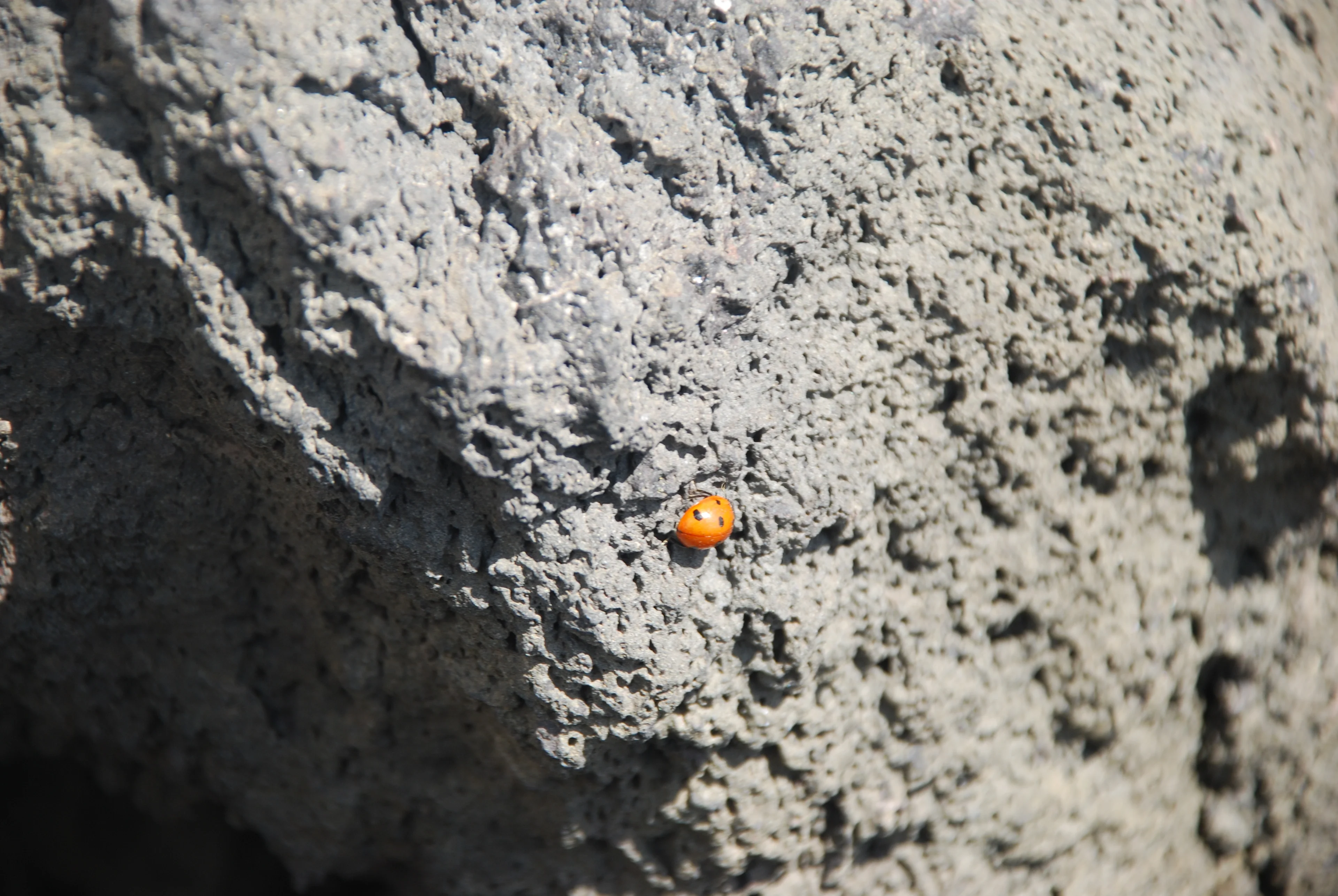 Lucky Rock