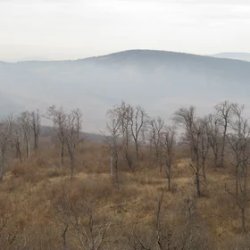 Fog in the valley