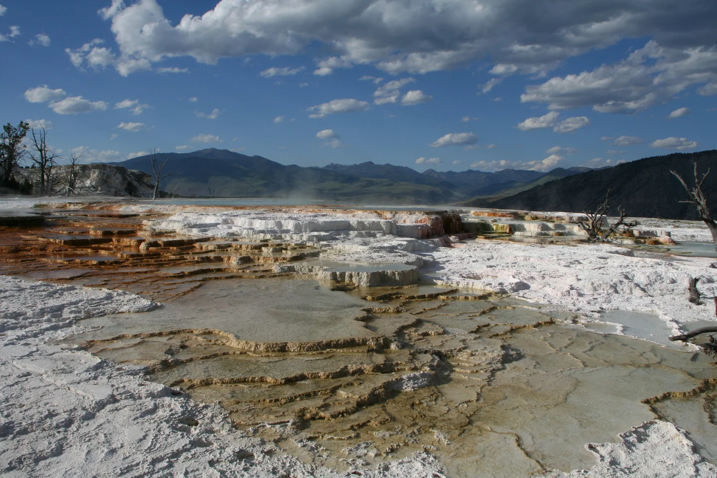 Mammoth Hot Springs
