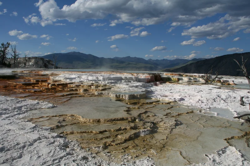 Mammoth Hot Springs