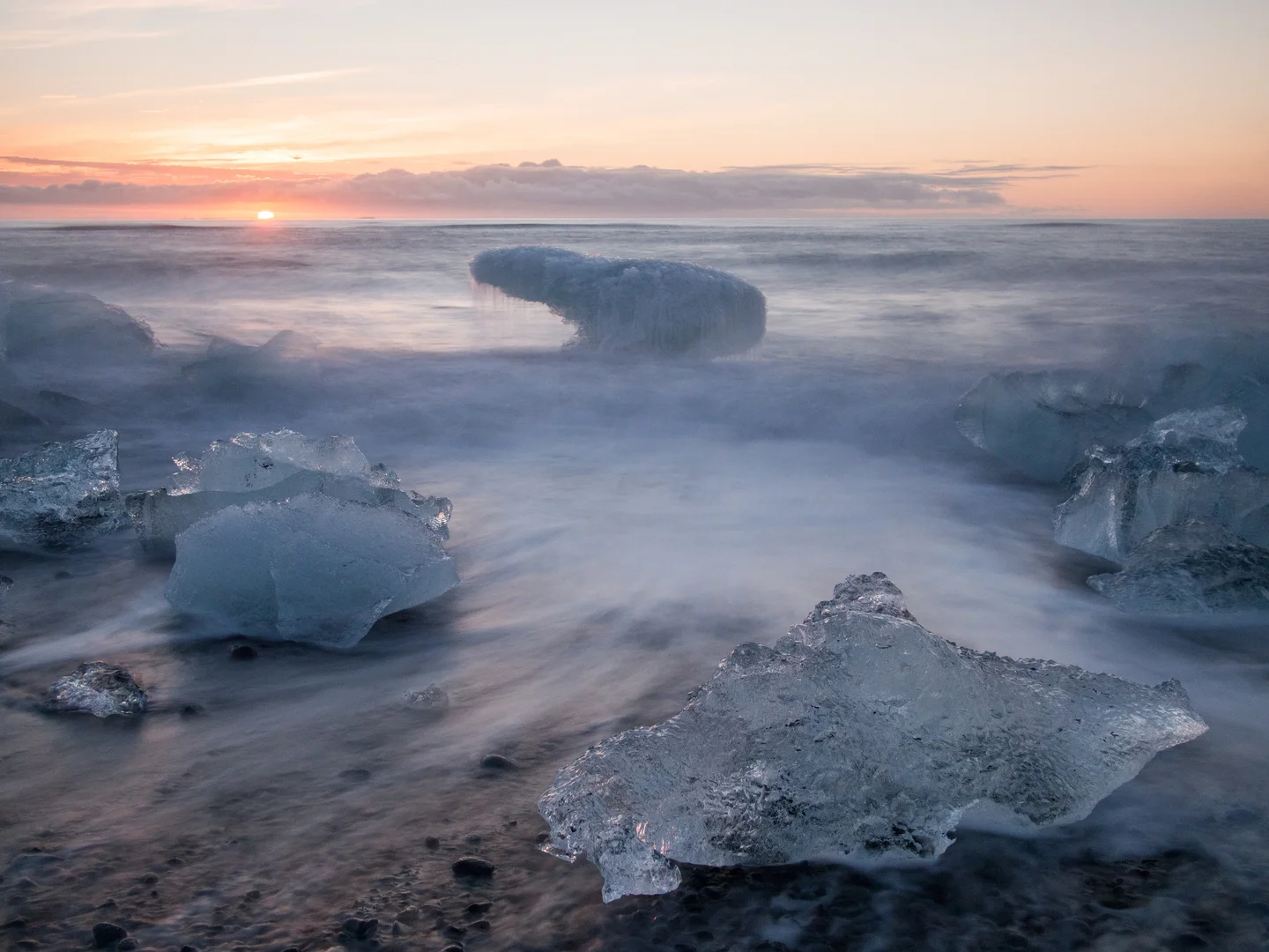 Icebear Rising