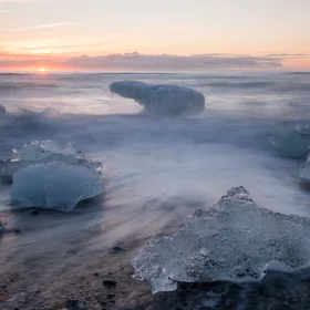 Icebear Rising