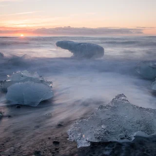 Icebear Rising