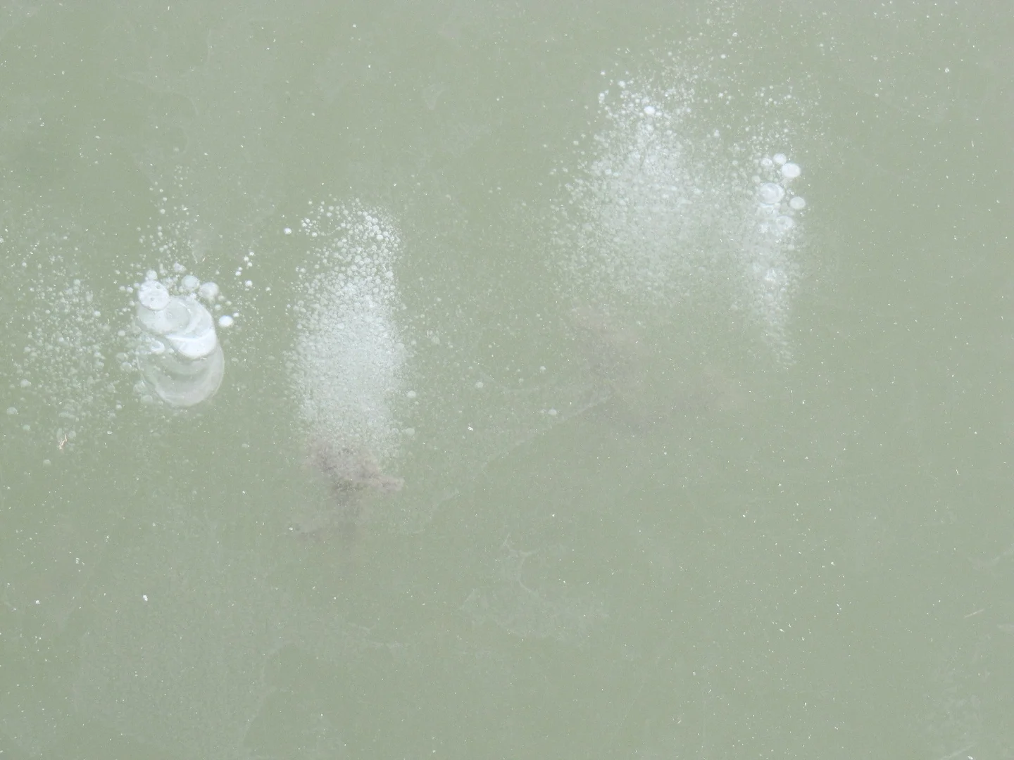 Methane ebullition trapped in ice