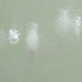Methane ebullition trapped in ice