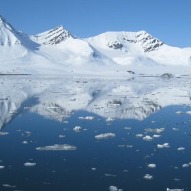 Arctic reflection