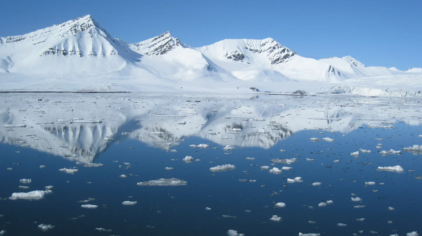 Arctic reflection