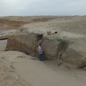 Soil Section in the Mesopotamian floodplain-Iraq