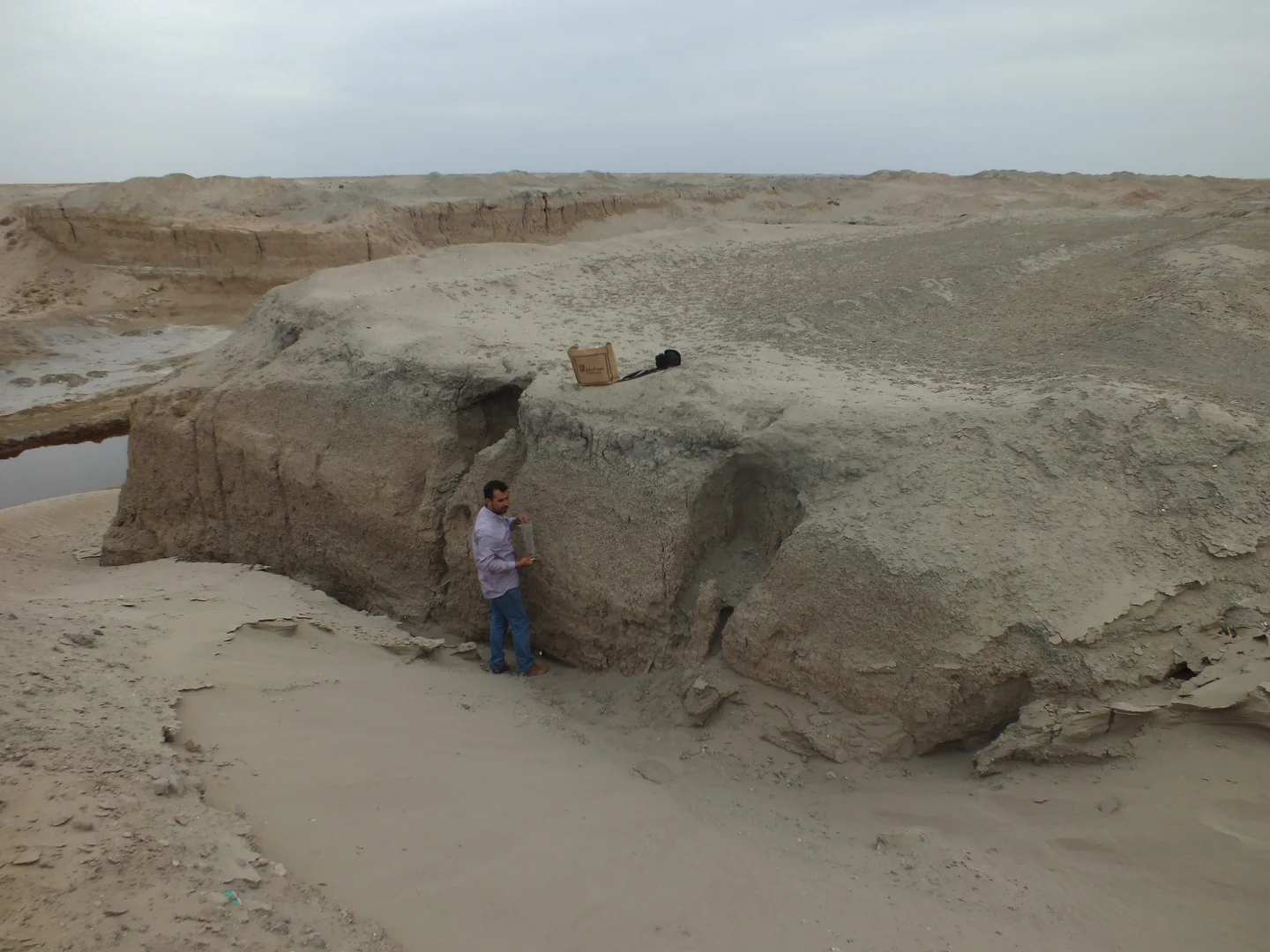 Soil Section in the Mesopotamian floodplain-Iraq