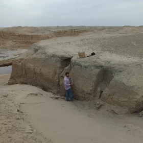 Soil Section in the Mesopotamian floodplain-Iraq