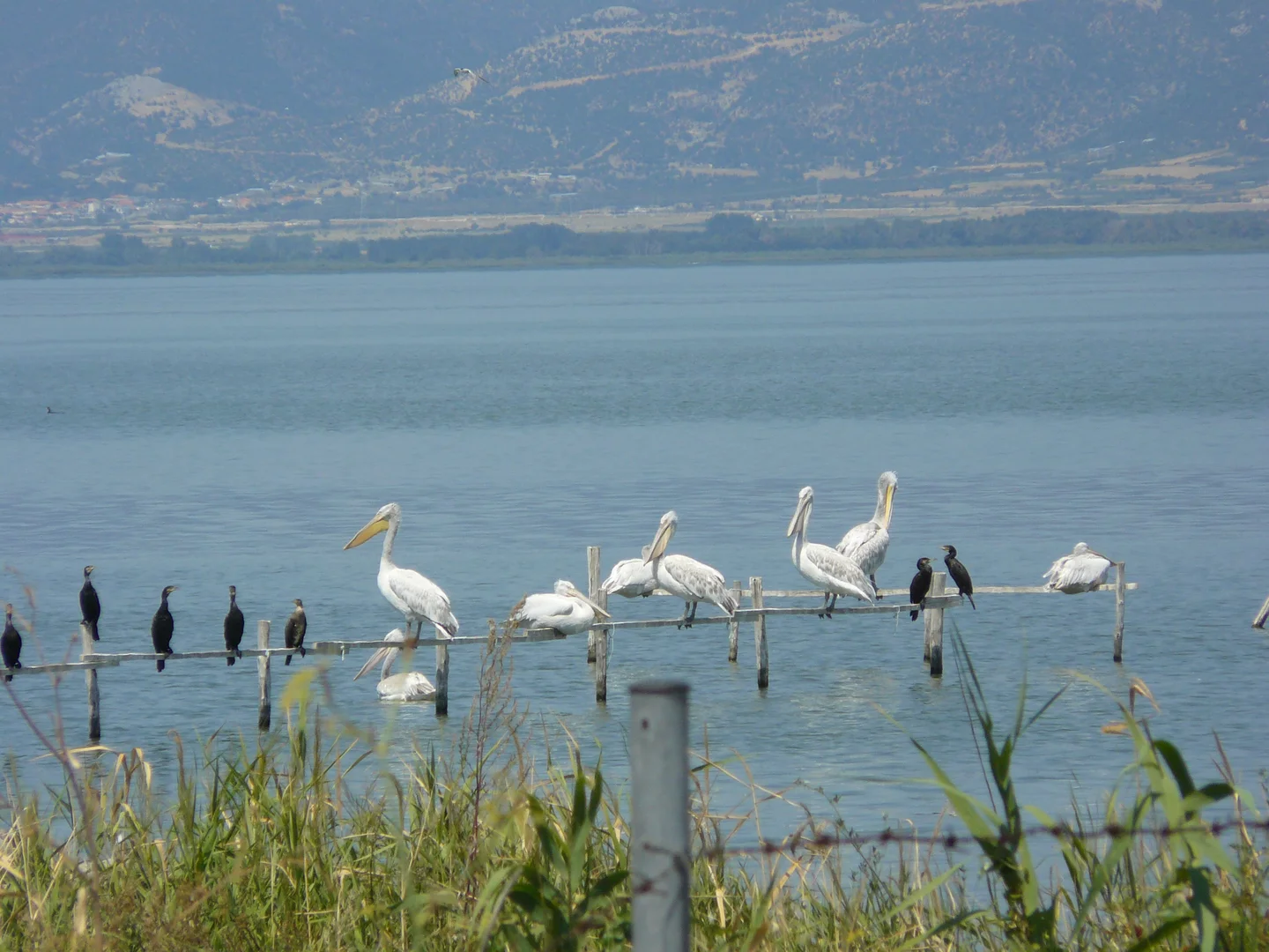 Vistonida Lake