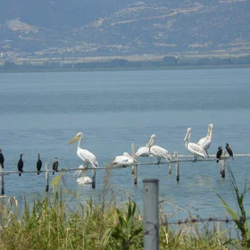 Vistonida Lake