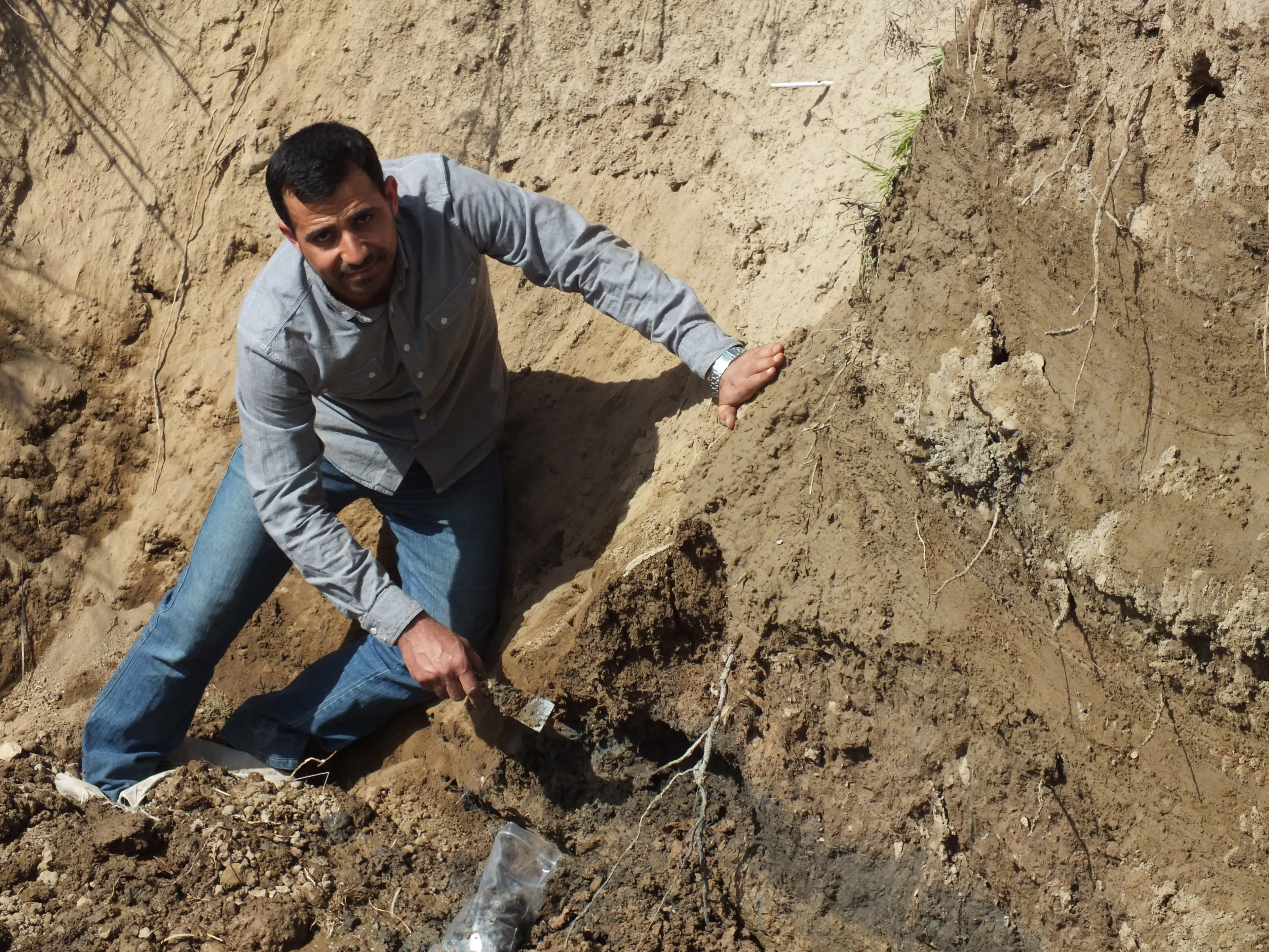 Ancient Marsh Sediments