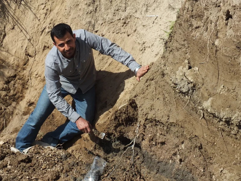Ancient Marsh Sediments