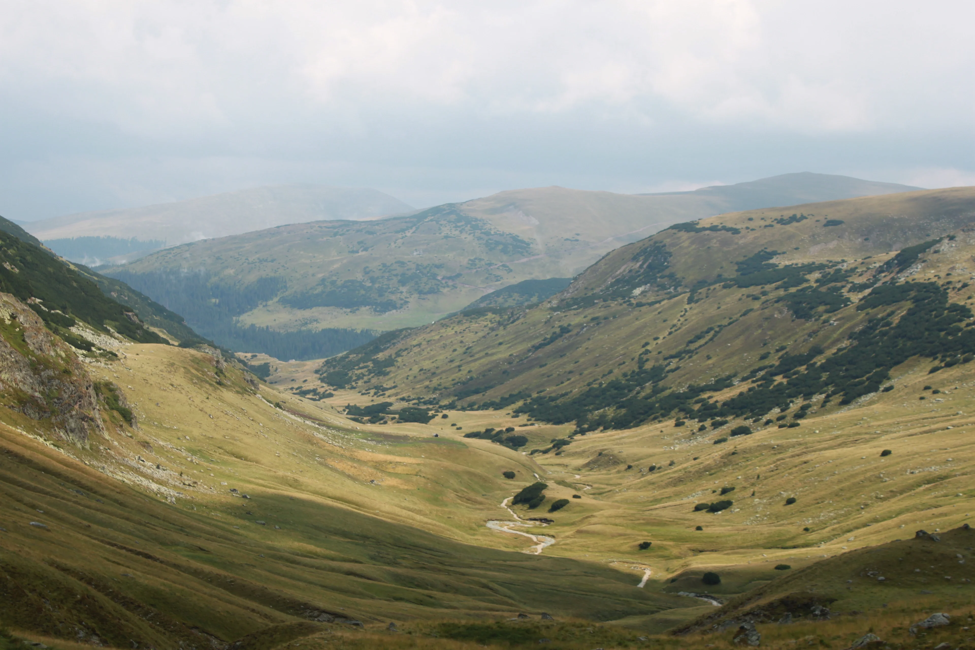Hazy mountains surround a valley with a winding river and scattered trees.